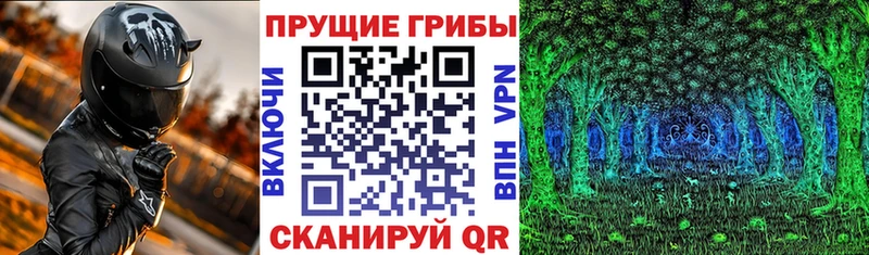 купить наркоту  Тюмень  блэк спрут tor  Псилоцибиновые грибы ЛСД 
