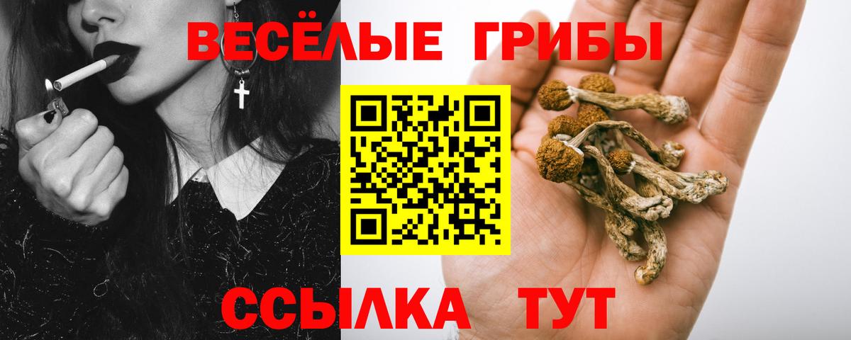 Тюмень  Псилоцибиновые грибы прущие грибы  Вход с VPN 